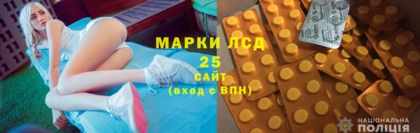 хмурый Сосновка