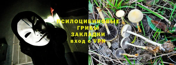 соль ск Белоозёрский