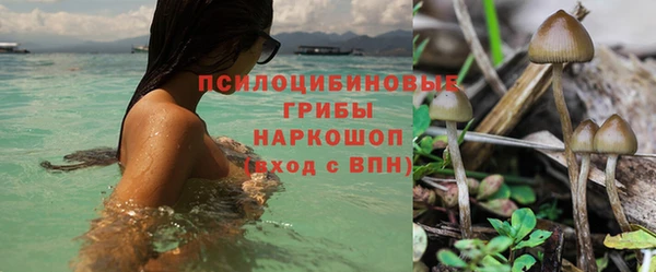 амф Балахна