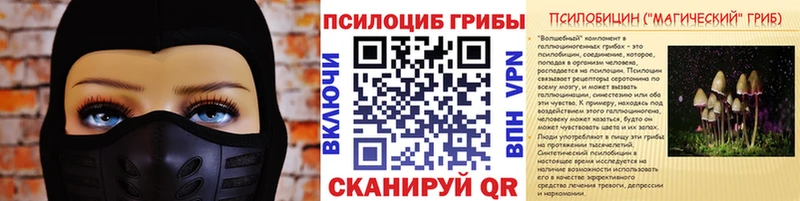 Псилоцибиновые грибы мухоморы Высоковск